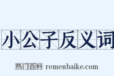 小公子反义词是什么意思的图片